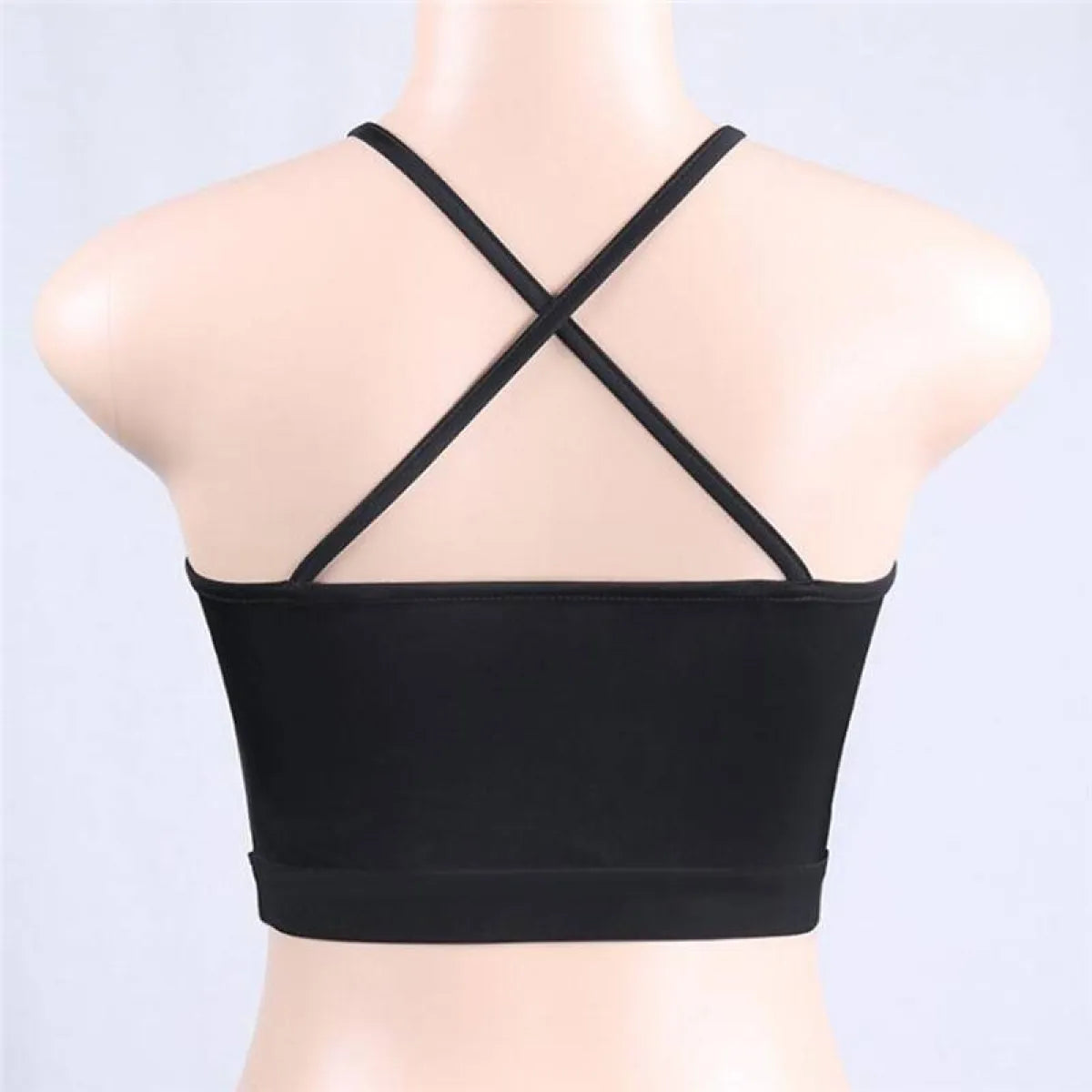 Mesh Crop Top