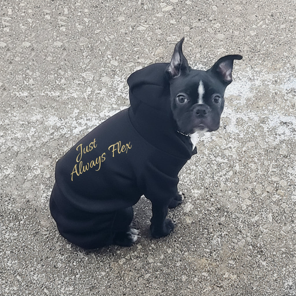 [Like New] LifeWheel Dog Hoodie Fleece Sweatshirt Buttons Winter Warm Cotton Black Size M