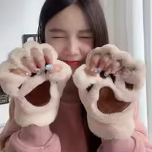 Winter Paws