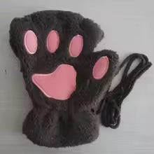 Winter Paws